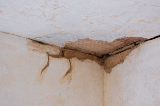 Best Basement Water Damage Restoration in Plattsburgh West, NY